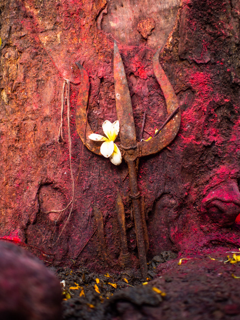 In Spirit: Kamakhya, Terrifying Feminity