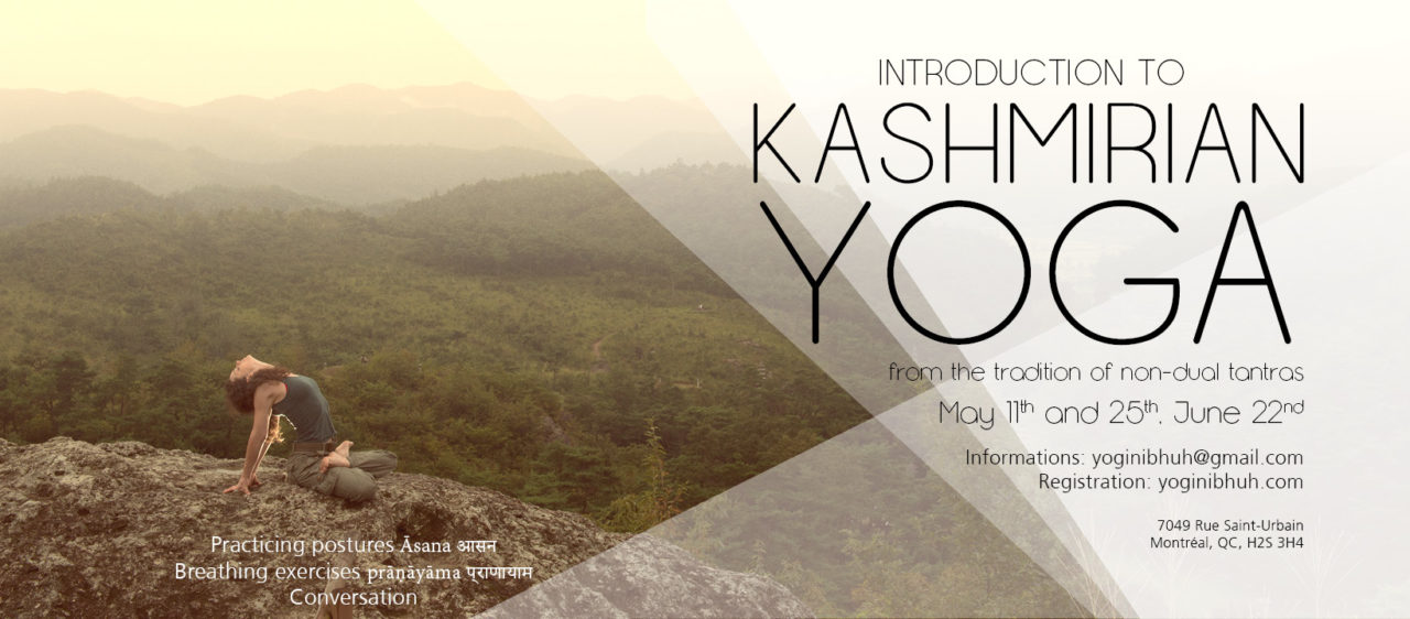 Introduction to kashmirian yoga