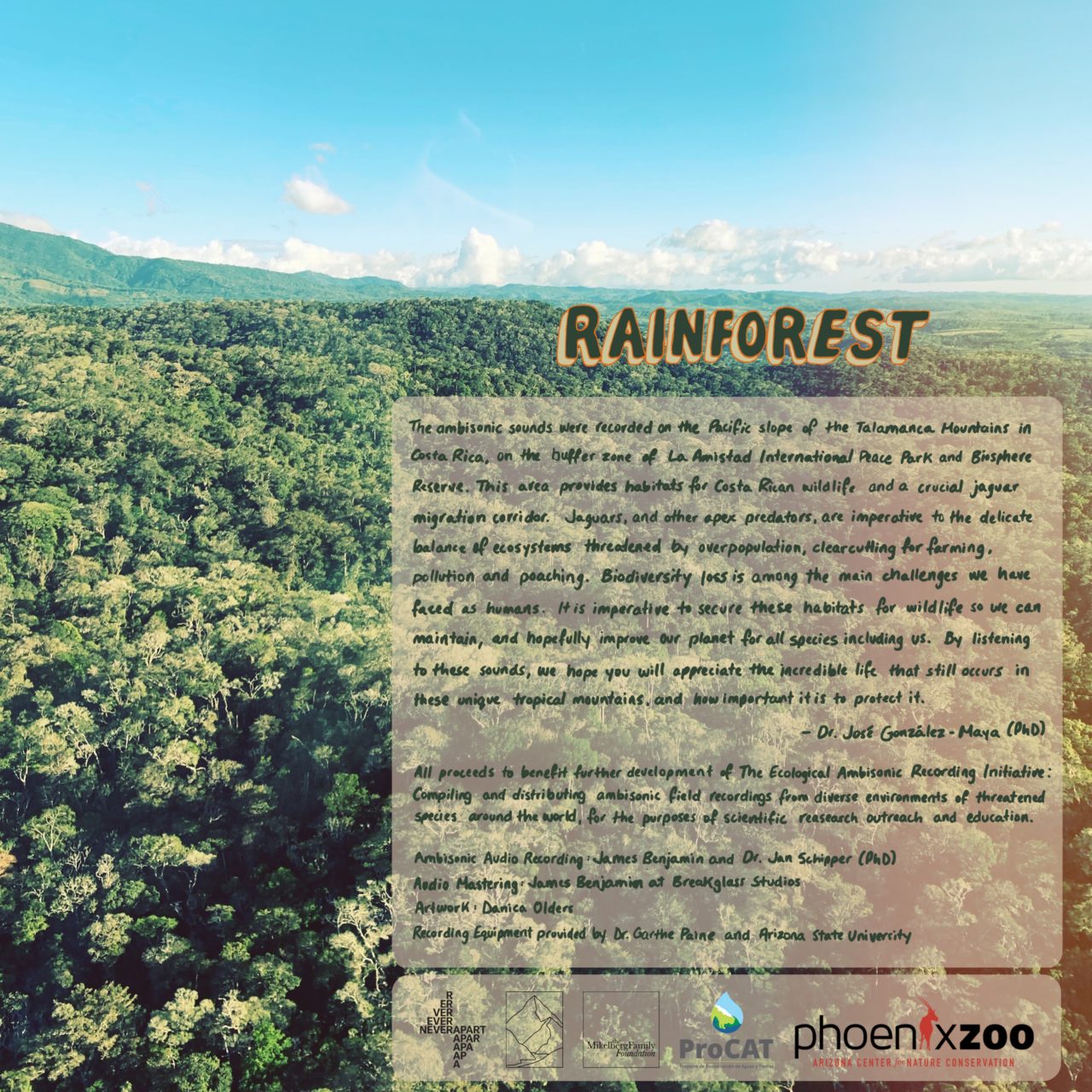 Interview: Ecological Ambisonic Recordings from the Rainforest