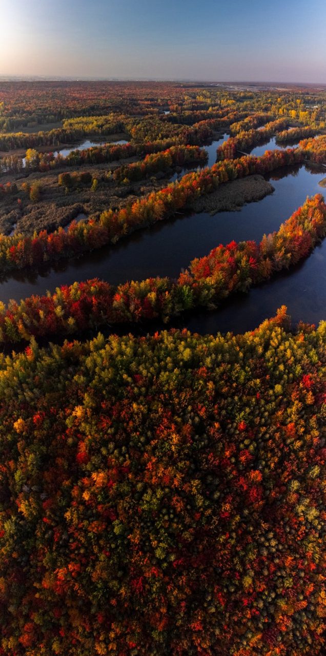 In Spirit: an interview with Stéphane Desmeules, nature and bodyscape photographer